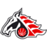 帕度比斯